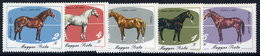 HUNGARY 1985 Horse Breeding  MNH /**.  Michel 3766-70 - Unused Stamps