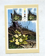 Carte Maximum 1979 Fleur Primevère - Cartes-Maximum (CM)