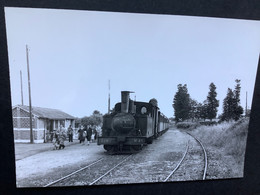 Photo Numérotée De BAZIN: Train Vapeur SNCF Des Côtes Du NORD : En Gare De PORDIC  En 1956 - Treni