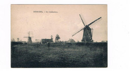 Dessel De Windmolens Molen Mill - Dessel