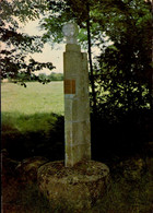 LES LUCS-SUR-BOULOGNE      ( VENDEE )    STELE DE L ' ABBE VOYNEAU , CURE DU PETIT LUC - Les Lucs Sur Boulogne