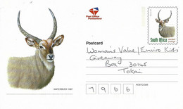 RSA South Africa 1997 Benoni Waterbuck Kobus Ellipsiprymnus Antilope Domestic Postal Stationary Card - Game