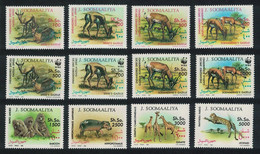 Somalie 1992 - Série Courante, Faune En Danger, Gazelles, WWF - 12 Val Neufs // Mnh // Rares - Somalie (1960-...)