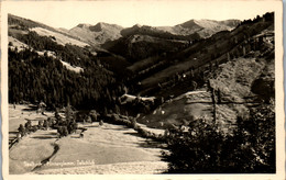 34317 - Salzburg - Saalbach Hinterglemm , Talschluß - Gelaufen 1954 - Saalbach