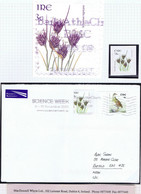 Ireland Flowers 2007 78c Self-adhesive Error "E", "7" And "Black Bog-rush" Omitted Used On 2008 Cover To England - Cartas