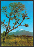TANZANIA MOUNT KILIMANJARO 1969 N°E106 - Tanzanie