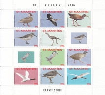 2016 St. Maarten Coastal Birds Miniature Sheet Of 10 MNH @BELOW  FACE VALUE - Curazao, Antillas Holandesas, Aruba