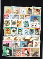 7656 Lot De TIMBRES  CHATS CHAT   FELIN Gatos - Hauskatzen