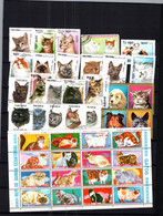 7658 Lot De TIMBRES  CHATS CHAT   FELIN Gatos - Hauskatzen