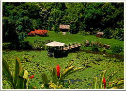 Hawaii Oahu Scene In Haiko Gardens 1983 - Oahu