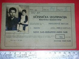 RR,Yugoslavia Kingdom,railway Traveling Group Ticket Novi Sad-Budapest,train Legitimation,Eisebahn,Chemins De Fer,Putnik - Europe