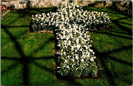 Wisconsin Milwaukee Mitchell Park Horticultural Conservatory Easter Show Cross Of Easter Lily Blooms - Milwaukee