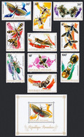 Rwanda 1973 MiNr. 538 - 548(Block 30) Ruanda Insects Beetles 10v+1bl MNH** 18.50€ - Otros