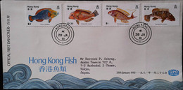 HONG KONG 1981.1.28  F.D.C - FDC