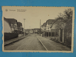 Huizingen Avenue St-Léonard St-Leonarduslaan - Beersel