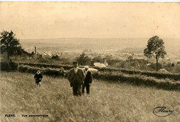 Flers * Vue Panoramique Du Village - Flers