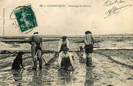 Locmariaquer * Ramassage Des Huitres * Ostréiculture Ostréiculteur * 1910 - Locmariaquer