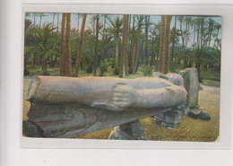 EGYPT MEMPHIS Statue De RAMSES II  Nice Postcard - Sphinx