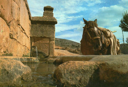 Berge - Detalle De La Fuente - Teruel