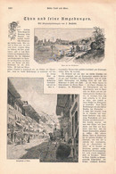 A102 1167 Thun Und Umgebung Schloss Thun Schloss Schadau Artikel / Bilder 1887 !! - Other & Unclassified