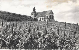 DOMBACH LA VILLE - ( 67 ) - La Chapelle St-Sébastien   (C.P.S.M. Pt-Ft ) - Dambach-la-ville