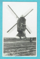 * Lommel (Limburg) * (Carte Photo - Fotokaart - Gevaert) Molen, Moulin, Muhle, Mill, Vélo, Animée, TOP, Rare - Lommel