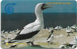 Ascension Island - C&W - GPT - 5CASA - White Booby Bird, 1994, 5.000ex, Used - Ascension