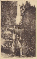 AK 061168 GERMANY - Okertal Im Harz - Romkerhaller Wasserfall - Oberharz