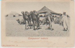 YB / Photo GARRIGUES Tunis . N° 60 . Campement Bédouin - Tunesië