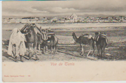 YB / Photo GARRIGUES Tunis . N° 163 . Vue De Tunis  ( Caravane De Dromadaires) - Tunesië