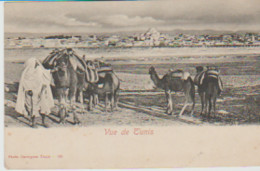 YB / Photo GARRIGUES Tunis . N° 163 . Vue De Tunis  ( Caravane De Dromadaires) - Tunisie