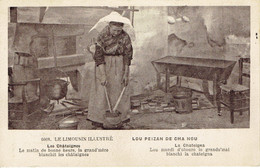 87 Le Limousin Illustré Les Chataignes  Edit. F. Millet Limoges - Altri & Non Classificati