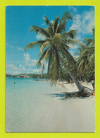 Guadeloupe N°S 009 Plage Baignade Et Cocotier Scandinexim St Barthélémy Images Caraïbes En 1988 - Saint Barthelemy