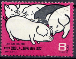VRC+ China 1960 Mi 548 Schweine TK - Gebruikt