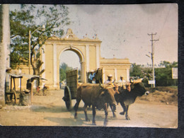 Postcard Yoke Of Oxen 2013 Ahuachapan ( Volcano Stamps ) - El Salvador