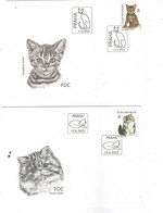 Year 2022  - Young Cats, 2 FDC's  - Self-adhesive Stamps From Booklet ( BKL ) - FDC