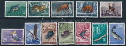 ** 1954 Állatok Sor Mi 738-749 - Other & Unclassified