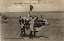 ** T2/T3 Boeuf Porteur. Afrique Occidentale - Sénégal, Soudan / African Folklore, Ox (fl) - Unclassified