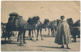 * T3/T4 1910 Tunisia, Caravane De Chameaux / Camel Caravan (szakadás / Tear) - Unclassified