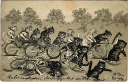 * T3 1904 Macska Kerékpárverseny, Bicikli Baleset. Dombornyomott Litho / Cat Cycling Race, Bicycle Accident. Embossed Li - Unclassified