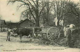 Lamotte Beuvron * Les Travaux De La Ferme * Attelage De Boeufs * Agriculture - Lamotte Beuvron