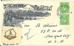 21111 - NEW ZEALAND - POSTAL HISTORY : ILLUSTRATED Cover From NGAERE To USA 1935 - Lettres & Documents