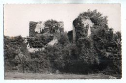(37) 3544, Semblançay, Combier 3523, Ruines Du Vieux Château - Semblançay