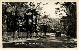 Australia, NSW, WOLLONGONG, Bulli Pass (1950s) Mowbray RPPC Postcard - Wollongong