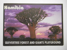NAMIBIE Arbres Géants - NAMIBIA Quivertree Forest And Giants Playground - Namibië