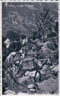 Val D'Anniviers Vissoie VS, La Poste De Chandolin, A Dos De Mulet (8681) - Chandolin