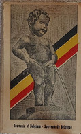 Bruxelles, Souvenir De Bruxelles, Manneken Pis, Edition Roberty. 8 Cartes Humoristiques Dans Leur Pochette - Beroemde Personen