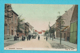 * Lebbeke (Oost Vlaanderen) * (Uitg. A. Tirez, Nr 8 - KLEUR) Boulevard, Belle Animation, Animée, Zeldzaam, Unique, TOP - Lebbeke