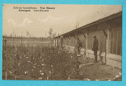 * Ouwegem - Auwegem (Kruisem - Gavere) * (E. Van Hauwaert, Foto Huysse) Hoenderhoeve Van Simaey, Statie, Poulet - Gavere