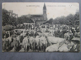 CPA 18 Cher SANCOINS  - Le Champ De Foire, Côté Des Boeufs,marché,foire Aux Bestiaux  écrite 1919 - Sancoins